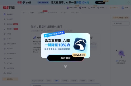 有道翻译·AI写作