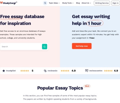 StudyCorgi ChatGPT Detector